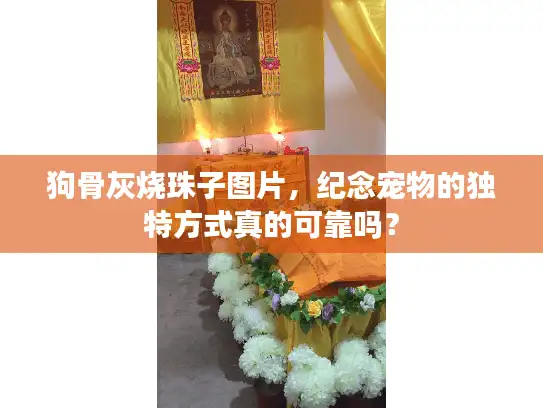 狗骨灰烧珠子图片,纪念宠物的独特方式真的可靠吗? 狗骨灰烧珠子图片,纪念宠物的独特方式真的可靠吗?