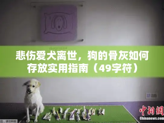 悲伤爱犬离世，狗的骨灰如何存放实用指南（49字符）