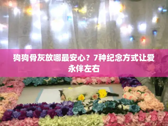 狗狗骨灰放哪最安心？7种纪念方式让爱永伴左右