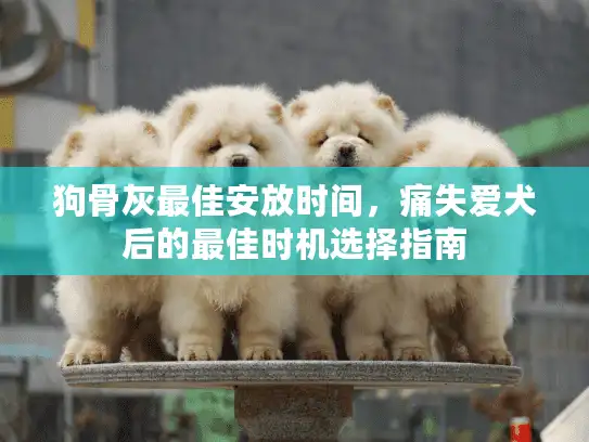 狗骨灰最佳安放时间，痛失爱犬后的最佳时机选择指南