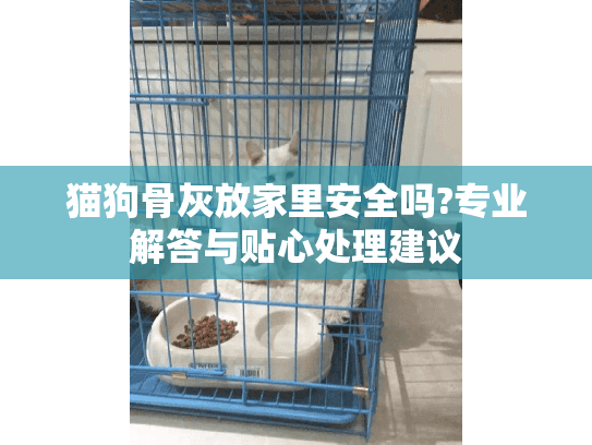 猫狗骨灰放家里安全吗?专业解答与贴心处理建议 猫狗骨灰放家里安全吗?专业解答与贴心处理建议