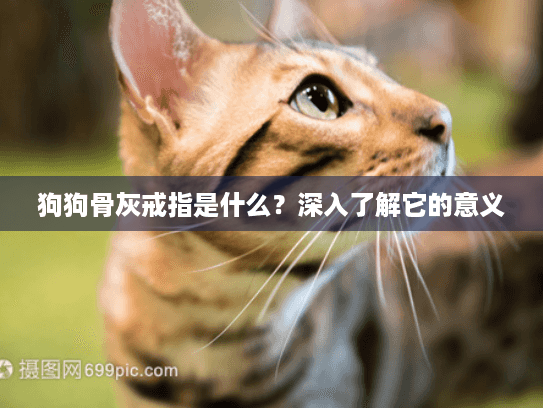 狗狗骨灰戒指是什么？深入了解它的意义