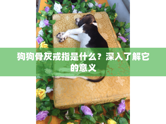 狗狗骨灰戒指是什么？深入了解它的意义