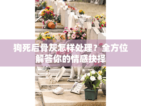 狗死后骨灰怎样处理?全方位解答你的情感抉择 狗死后骨灰怎样处理?全方位解答你的情感抉择