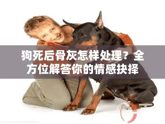 狗死后骨灰怎样处理?全方位解答你的情感抉择 狗死后骨灰怎样处理?全方位解答你的情感抉择