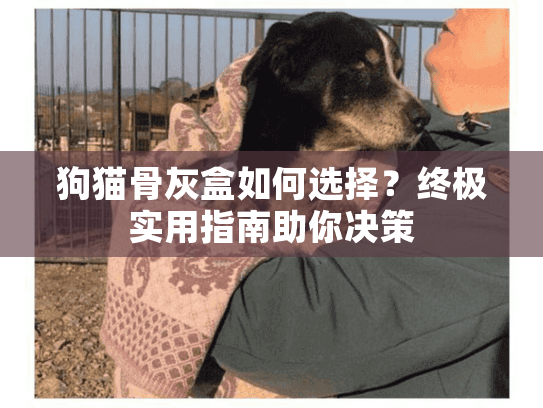 狗猫骨灰盒如何选择？终极实用指南助你决策
