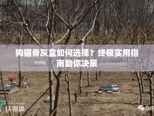 狗猫骨灰盒如何选择？终极实用指南助你决策