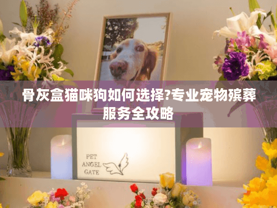 骨灰盒猫咪狗如何选择?专业宠物殡葬服务全攻略 骨灰盒猫咪狗如何选择?专业宠物殡葬服务全攻略