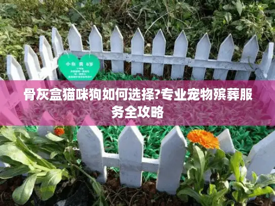 骨灰盒猫咪狗如何选择?专业宠物殡葬服务全攻略 骨灰盒猫咪狗如何选择?专业宠物殡葬服务全攻略