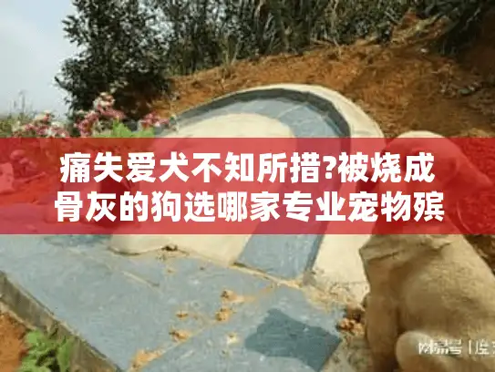 痛失爱犬不知所措?被烧成骨灰的狗选哪家专业宠物殡葬服务好