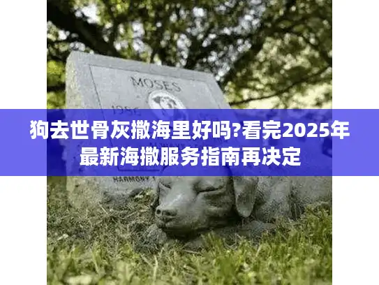 狗去世骨灰撒海里好吗?看完2025年最新海撒服务指南再决定 狗去世骨灰撒海里好吗?看完2025年最新海撒服务指南再决定