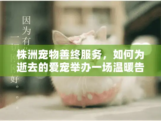 株洲宠物善终服务，如何为逝去的爱宠举办一场温暖告别仪式？