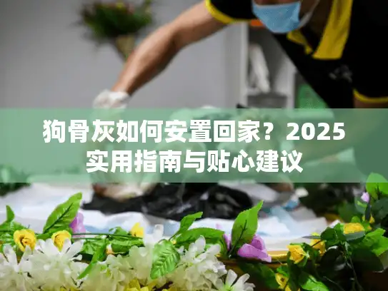 狗骨灰如何安置回家？2025实用指南与贴心建议