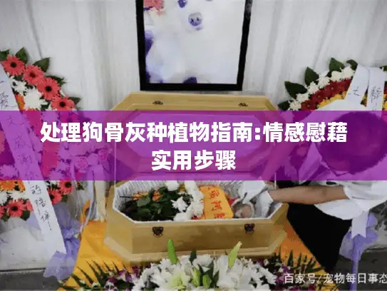 处理狗骨灰种植物指南:情感慰藉实用步骤