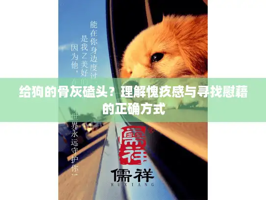 给狗的骨灰磕头？理解愧疚感与寻找慰藉的正确方式