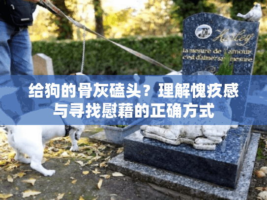 给狗的骨灰磕头？理解愧疚感与寻找慰藉的正确方式