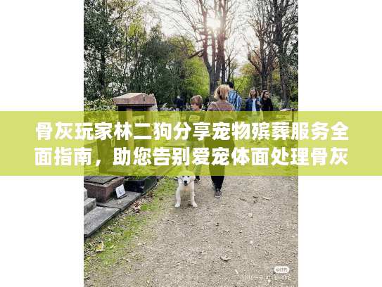 骨灰玩家林二狗分享宠物殡葬服务全面指南，助您告别爱宠体面处理骨灰