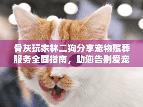 骨灰玩家林二狗分享宠物殡葬服务全面指南，助您告别爱宠体面处理骨灰