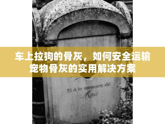 车上拉狗的骨灰,如何安全运输宠物骨灰的实用解决方案 车上拉狗的骨灰,如何安全运输宠物骨灰的实用解决方案