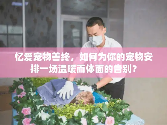 忆爱宠物善终,如何为你的宠物安排一场温暖而体面的告别? 忆爱宠物善终,如何为你的宠物安排一场温暖而体面的告别?