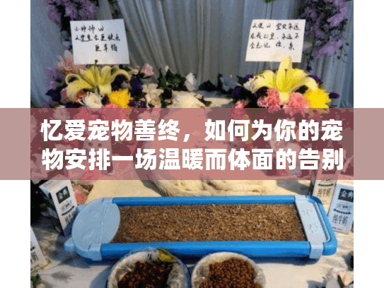 忆爱宠物善终,如何为你的宠物安排一场温暖而体面的告别? 忆爱宠物善终,如何为你的宠物安排一场温暖而体面的告别?