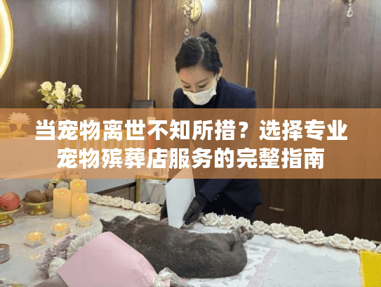 当宠物离世不知所措?选择专业宠物殡葬店服务的完整指南 当宠物离世不知所措?选择专业宠物殡葬店服务的完整指南