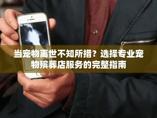 当宠物离世不知所措?选择专业宠物殡葬店服务的完整指南 当宠物离世不知所措?选择专业宠物殡葬店服务的完整指南