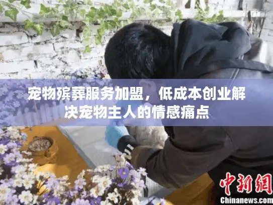 宠物殡葬服务加盟,低成本创业解决宠物主人的情感痛点 宠物殡葬服务加盟,低成本创业解决宠物主人的情感痛点