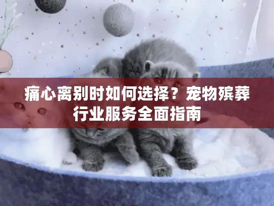 痛心离别时如何选择？宠物殡葬行业服务全面指南