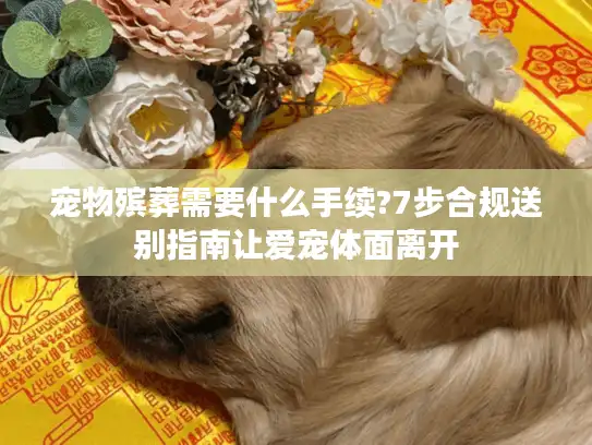 宠物殡葬需要什么手续?7步合规送别指南让爱宠体面离开