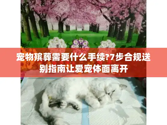 宠物殡葬需要什么手续?7步合规送别指南让爱宠体面离开