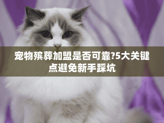 宠物殡葬加盟是否可靠?5大关键点避免新手踩坑