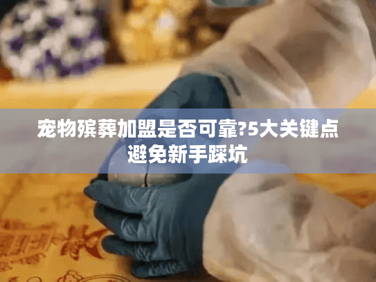 宠物殡葬加盟是否可靠?5大关键点避免新手踩坑