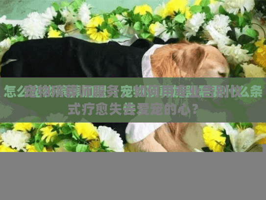 宠物殡葬师服务,如何用专业告别仪式疗愈失去爱宠的心? 宠物殡葬师服务,如何用专业告别仪式疗愈失去爱宠的心?