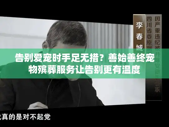 告别爱宠时手足无措？善始善终宠物殡葬服务让告别更有温度