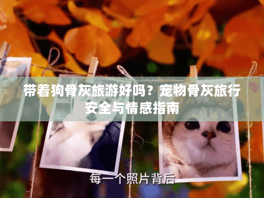 带着狗骨灰旅游好吗？宠物骨灰旅行安全与情感指南