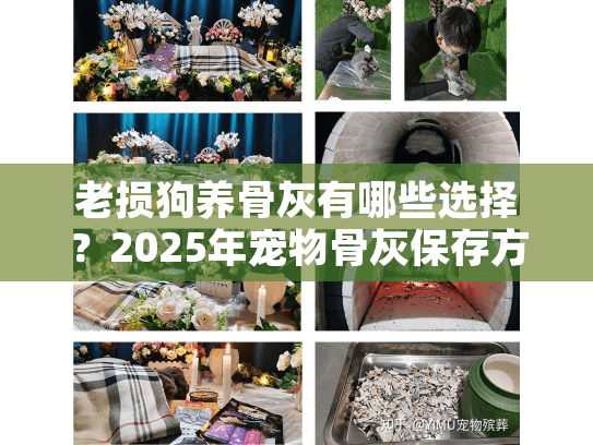 老损狗养骨灰有哪些选择？2025年宠物骨灰保存方式对比指南