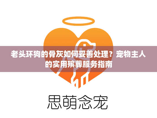 老头环狗的骨灰如何妥善处理？宠物主人的实用殡葬服务指南