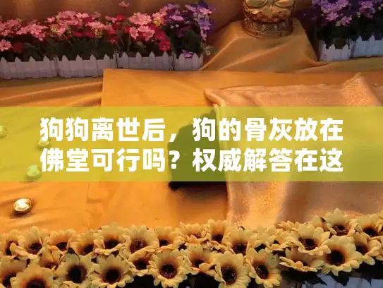 狗狗离世后，狗的骨灰放在佛堂可行吗？权威解答在这里