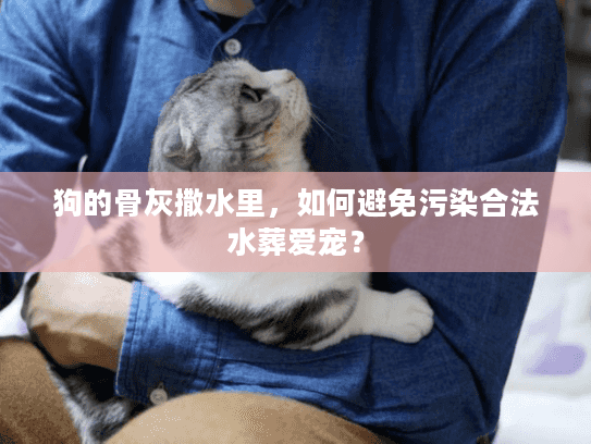狗的骨灰撒水里,如何避免污染合法水葬爱宠? 狗的骨灰撒水里,如何避免污染合法水葬爱宠?