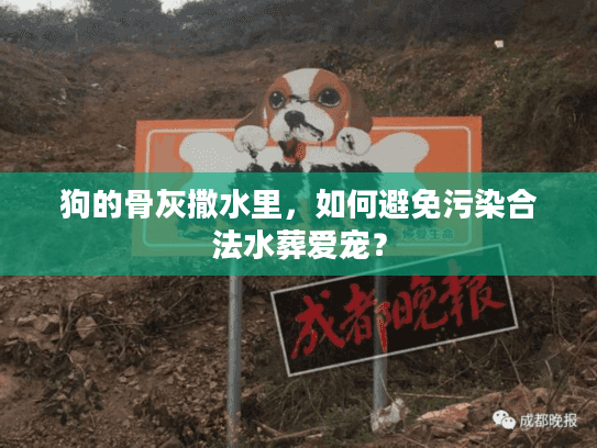 狗的骨灰撒水里,如何避免污染合法水葬爱宠? 狗的骨灰撒水里,如何避免污染合法水葬爱宠?