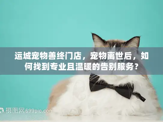 运城宠物善终门店，宠物离世后，如何找到专业且温暖的告别服务？