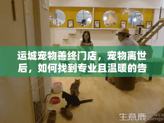 运城宠物善终门店，宠物离世后，如何找到专业且温暖的告别服务？