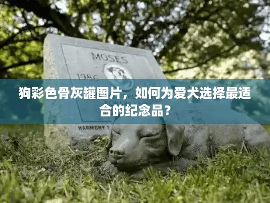 狗彩色骨灰罐图片,如何为爱犬选择最适合的纪念品? 狗彩色骨灰罐图片,如何为爱犬选择最适合的纪念品?