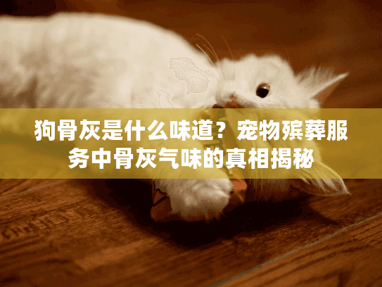 狗骨灰是什么味道？宠物殡葬服务中骨灰气味的真相揭秘