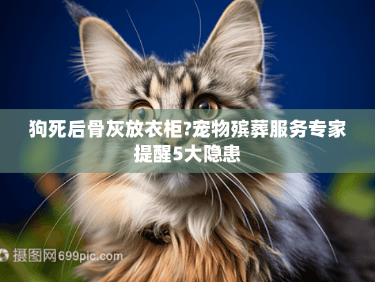 狗死后骨灰放衣柜?宠物殡葬服务专家提醒5大隐患