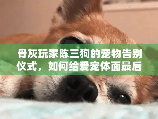 骨灰玩家陈三狗的宠物告别仪式,如何给爱宠体面最后一程? 骨灰玩家陈三狗的宠物告别仪式,如何给爱宠体面最后一程?