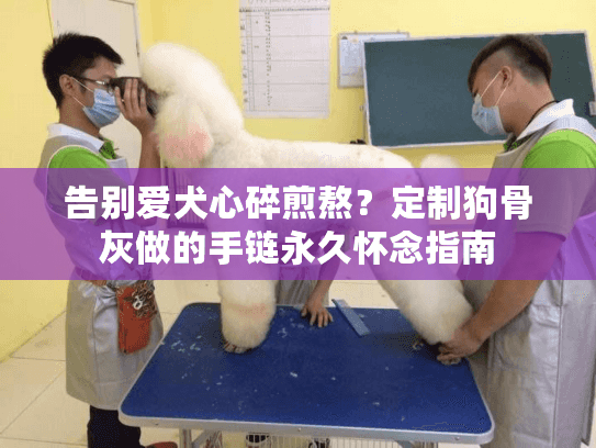 告别爱犬心碎煎熬？定制狗骨灰做的手链永久怀念指南