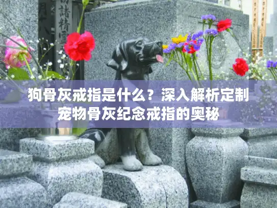 狗骨灰戒指是什么?深入解析定制宠物骨灰纪念戒指的奥秘 狗骨灰戒指是什么?深入解析定制宠物骨灰纪念戒指的奥秘