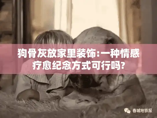 狗骨灰放家里装饰:一种情感疗愈纪念方式可行吗?